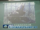 国内联播快讯