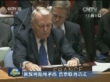 因叙问题闹矛盾 普京取消访法
