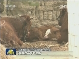 金融服务精准到人 解决扶贫资金难题