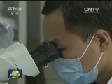 “探索一号”今起航 执行深渊科考任务