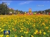 撞钟祈福辞旧岁 张灯结彩迎新年