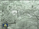 多地低温持续 南方迎来降雪