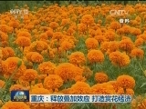 重庆：释放叠加效应 打造赏花经济