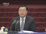 张德江与港澳地区委员共商国是