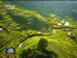 【来自基层代表委员的声音】变化看在眼里 记在心头