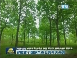 国内联播快讯
