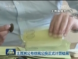 土耳其公布修宪公投正式计票结果