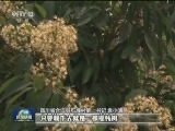 【砥砺奋进的五年·扶贫蹲点日记】石堰村：产业促增收 脱贫路上幸福多