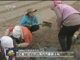 【砥砺奋进的五年·扶贫蹲点日记】宁夏赵楼村：小山村的脱贫攻坚路