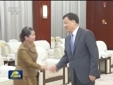 刘云山会见出席金砖国家政党 智库和民间社会组织论坛的外方政要
