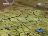 小济公 44集
