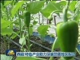 西藏：特色产业助力深度贫困地区脱贫