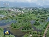 大理：停客栈 增绿水 让洱海减负