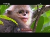 【大美中国】