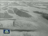 为世界贡献更多绿色奇迹 塞罕坝林场建设者荣膺“地球卫士奖”