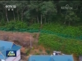 【新时代 新气象 新作为】云南：联合保护 构建跨境生态长廊