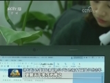 【新时代 新气象 新作为】湖北武汉打造年轻人就业创新之城