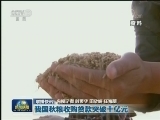 国内联播快讯