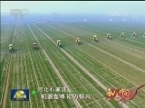 春天的中国