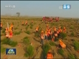 【在习近平新时代中国特色社会主义思想指引下——新时代 新气象 新作为】雄安一年间 开启千年之变