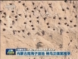 国内联播快讯