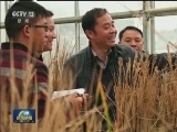 福建南平：科技特派员助力乡村振兴