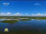 美丽中国 绿水青山