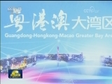 香港各界举行活动庆祝回归21周年
