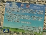 新疆尼勒克：当椋鸟在工地筑巢之后