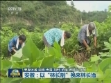 【大江奔流——来自长江经济带的报道】安徽：以“林长制”换来林长治