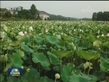 我国又有40个贫困县实现脱贫摘帽