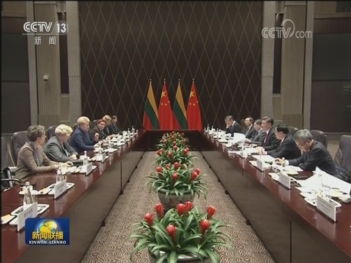 习近平会见立陶宛总统