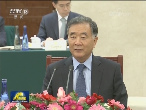 汪洋会见非洲经济社会理事会联盟代表团