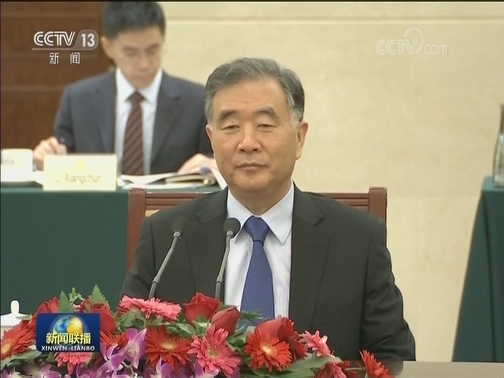 汪洋会见经济社会理事会和类似组织国际协会主席一行