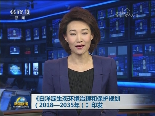 《白洋淀生态环境治理和保护规划（2018-2035年）》印发