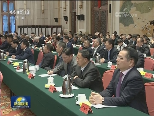 汪洋出席民营企业家迎春座谈会