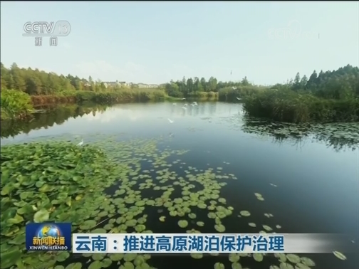 重庆：全流域共治一江水