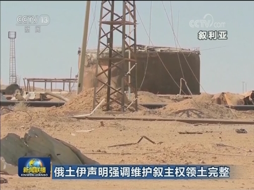俄土伊声明强调维护叙主权领土完整
