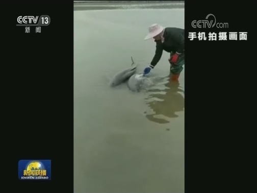 国内联播快讯