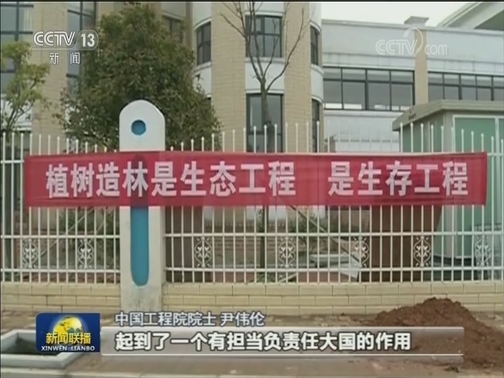 地球植被面积扩大 中国贡献突出