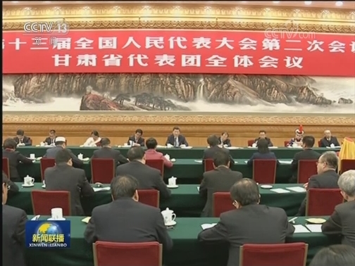 习近平参加甘肃代表团审议