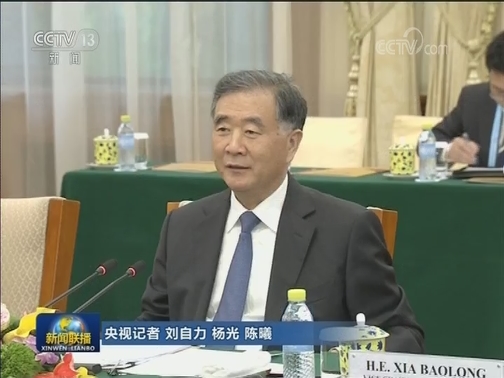 汪洋会见埃及总统