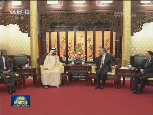 王岐山会见阿联酋副总统兼总理 迪拜酋长