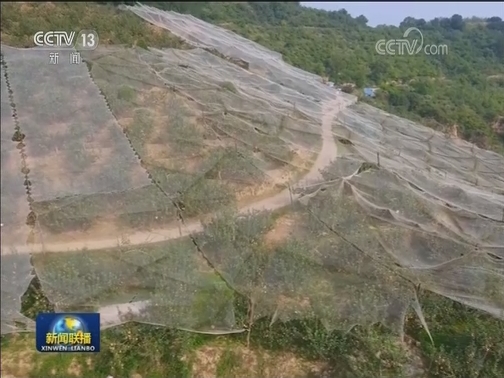 革命圣地延安告别绝对贫困