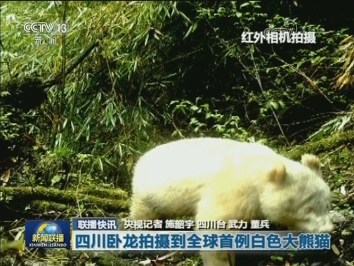 国内联播快讯
