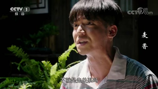 正在播放《麦香》云飞认定麦收入伍是走后门 并因此记恨麦香