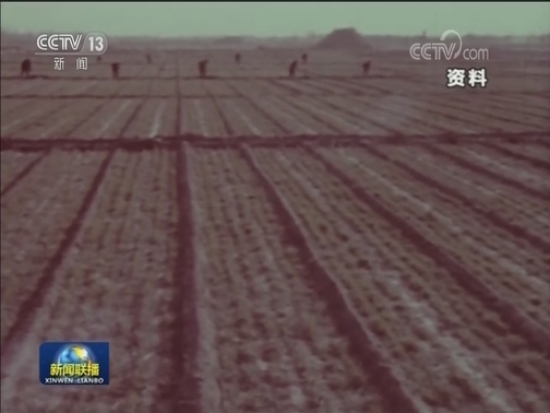 【爱国情 奋斗者】中农大扎根曲周46年 盐碱地变良田