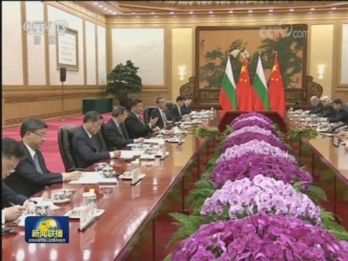 习近平同保加利亚总统举行会谈