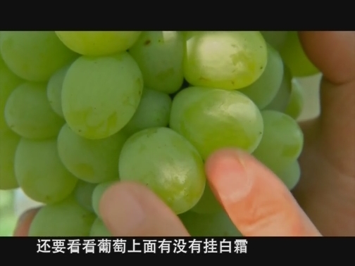 【科普之窗】好味道 有门道（上）（20190824 13:18-13:28）