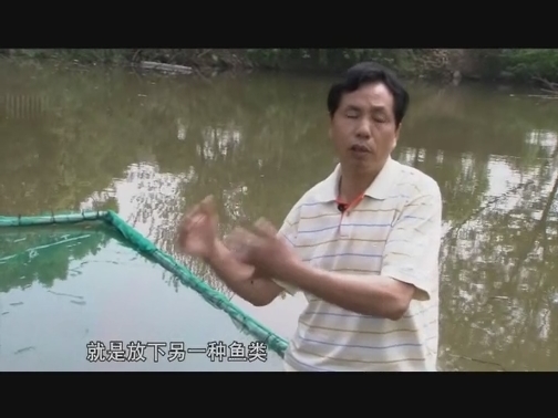 【科普之窗】臭水塘变成“聚宝盆”（下）（20190823 12:59-13:09）